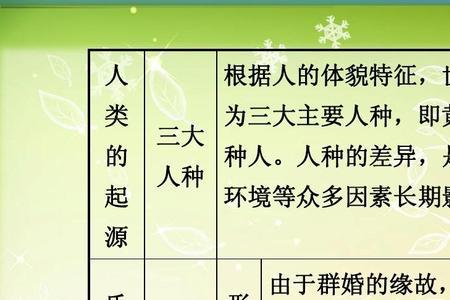 新母系氏族社会是什么时期