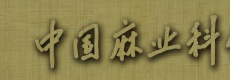 麻六记创立时间