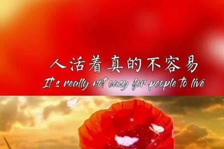 真的不容易原唱