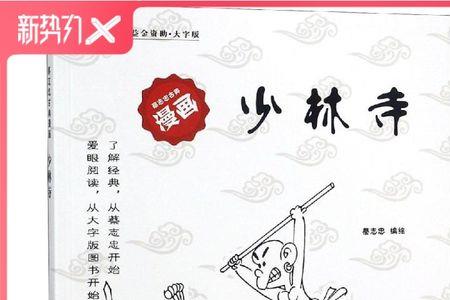 有没有关于少林寺的小说