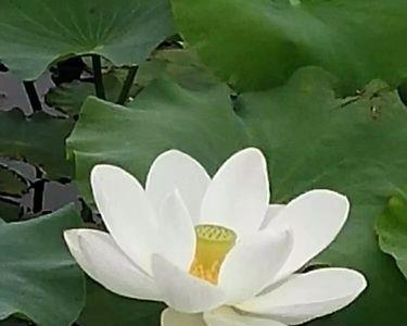 晴空飘雨什么意思
