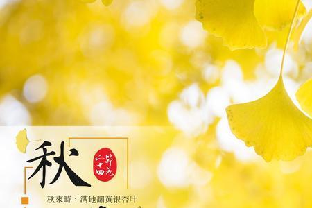 久旱什么不下雨酒与什么不晴天