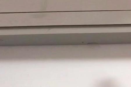 家用空调有死蟑螂的味道