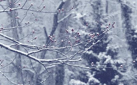 深冬暮雪林暮冬结局