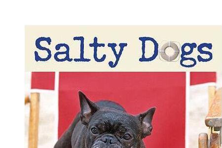 salty反义词