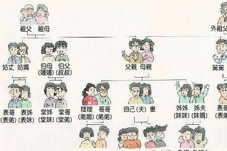 标准六亲指哪些