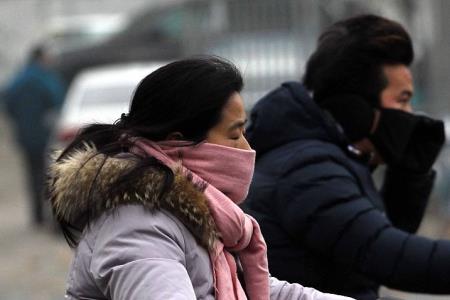 石家庄刮什么风最多