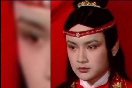 贾宝玉写树叶的诗