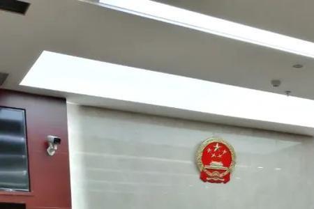 法庭上能说无异议吗