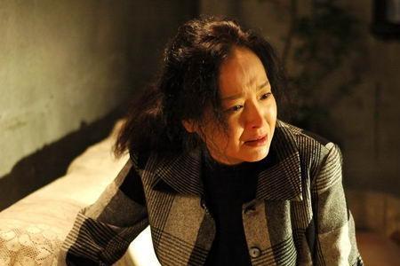 慈母的心原唱完整版