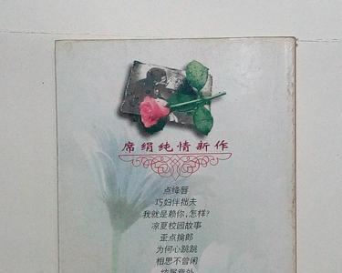 席绢的全部小说按顺序