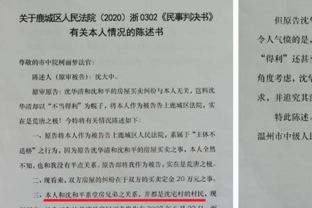 原告最后陈述范本