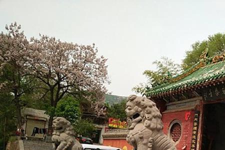 少林寺出来能干什么