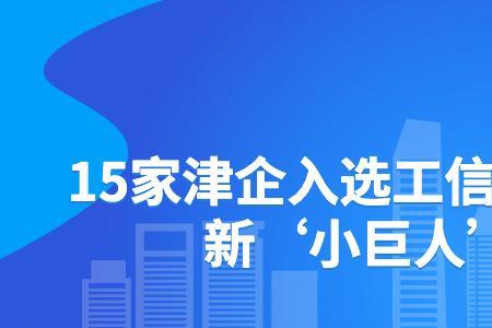 国家级小巨人企业指的是什么