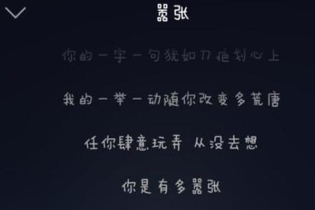 我在不在意是哪首歌的歌词