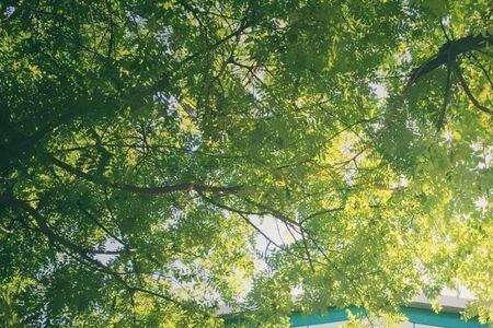 天丰利7月份开门营业吗