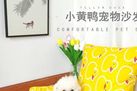 鸭子窝里垫什么