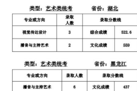 湖北艺术生530分能上什么大学