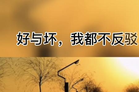 你所见即我什么意思