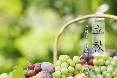立秋天气很清凉是什么原因