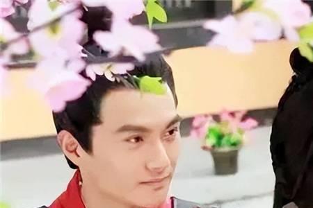 卫青有几个妻妾