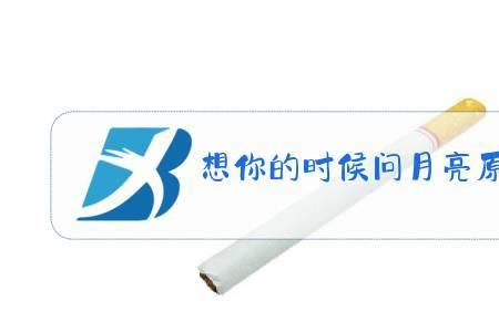 谢贤唱想你的时候问月亮完整版
