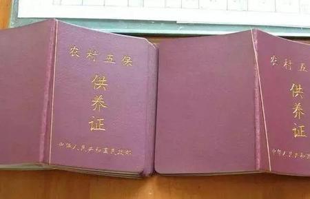 失信人能办低保吗