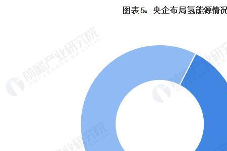 新研氢能源的行业地位