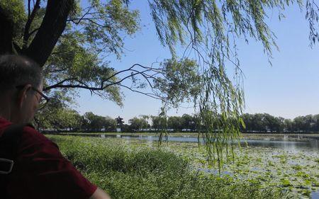 什么叫风清树正