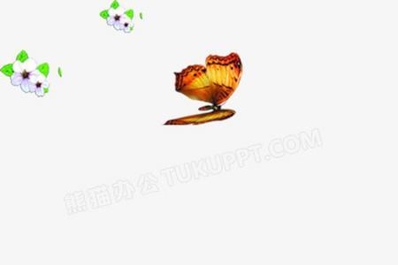 蝴蝶飞舞解释