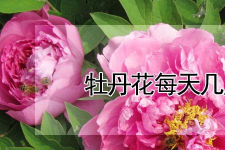 上午前是什么时间