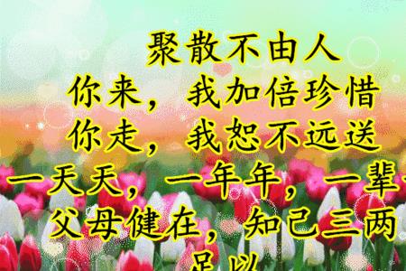 好好过一辈子怎么回