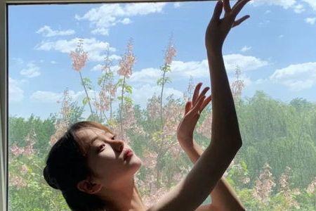 沈小峰李小甜是什么小说