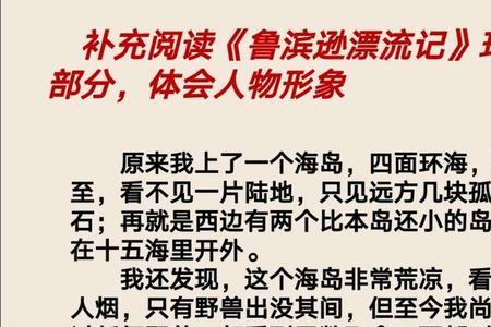 鲁滨逊人物评价20字