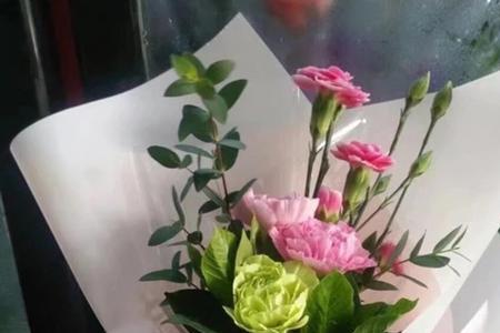 一大束花可以上轻轨吗