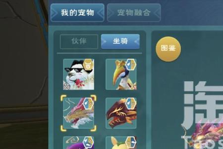 创造与魔法鲲鹏飞船保护时间