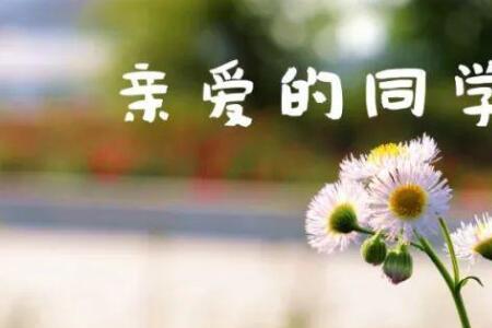 许久未见相聚的句子