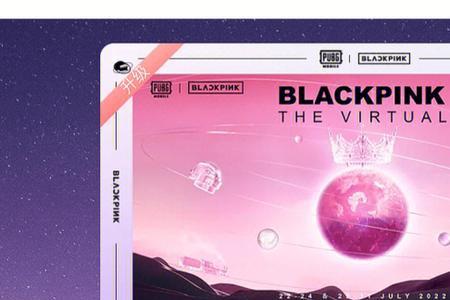blackpink演唱会vip有座位吗