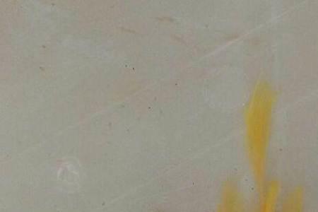 黄金胡子鱼什么时候开口