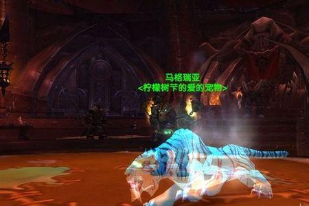 灵魂兽古德利亚最容易出的坐标