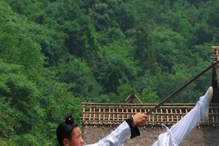赞武当功夫句子