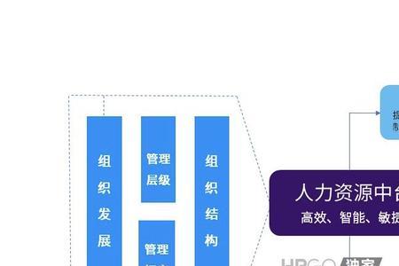 hr组织是什么意思