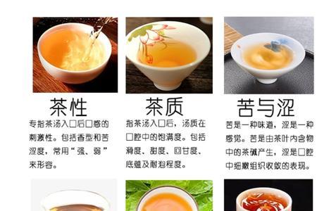形容茶得单位名词有哪些
