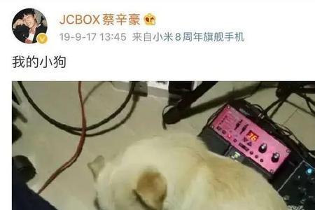 马少白的人物原型