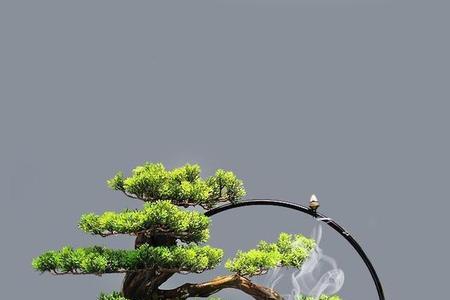 什么是盆栽组
