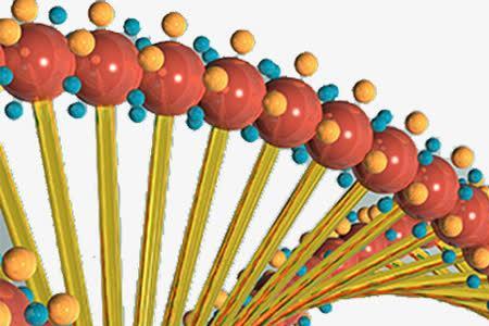 双螺旋生物科技是干什么用的