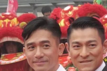 刘德华的鹏啥意思