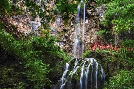 龙虎困深山的意思