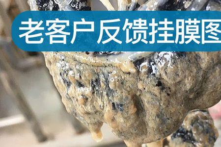 污水处理中的盐能杀死细菌吗