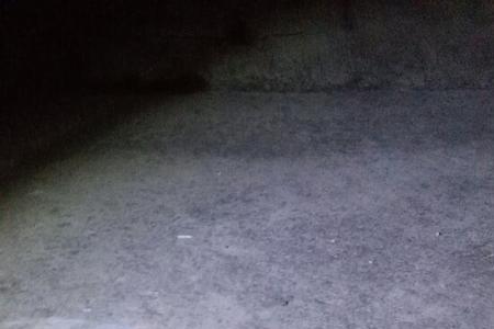 蛇用开水烫死还有毒吗